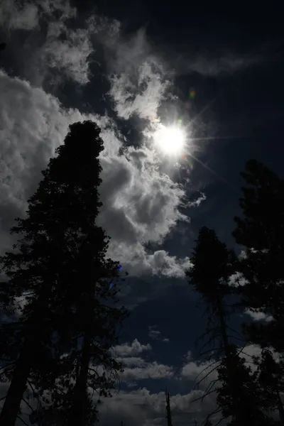 DSC_4371 (Large).JPG